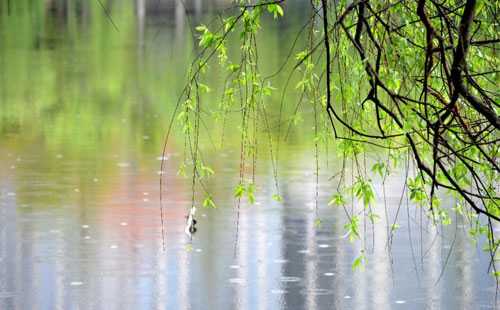 雨中的守护者 —— 嘉峪关珍珠棉的应用实践
